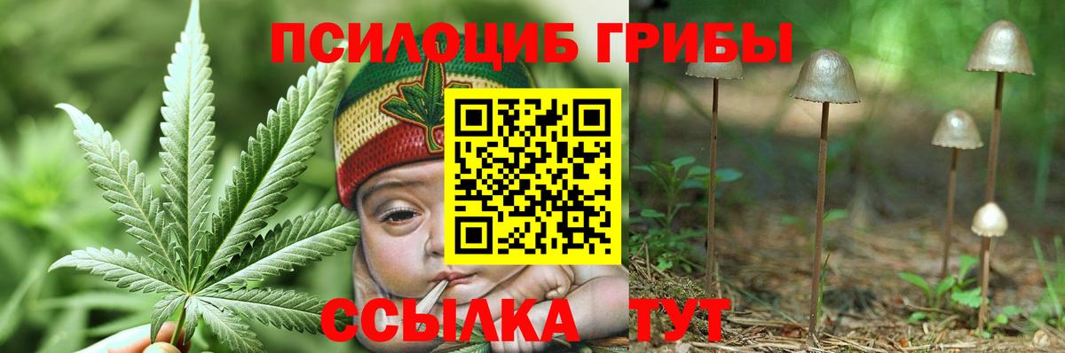 Галлюциногенные грибы мухоморы  Вход с VPN  сколько стоит  Семёнов 